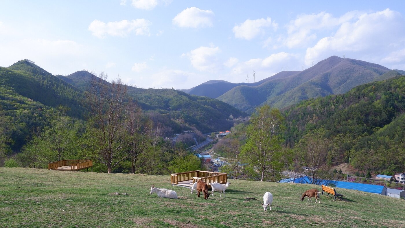 해발 800m 산에 둘러싸인 몽토랑 산양목장ⓒ 뉴스1 