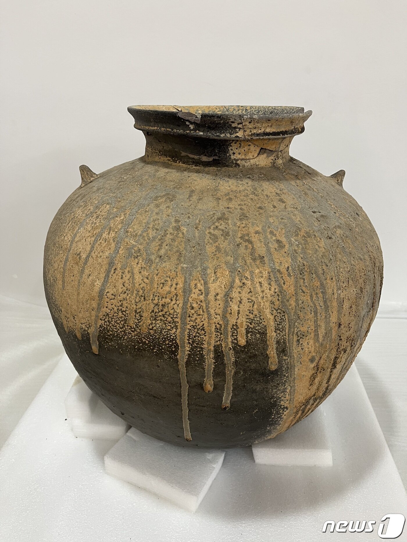 본문 이미지 - 대성동고분군 41호 덧널무덤 내에서 발견된 큰 항아리. 복숭아 씨앗 등이 담겨 있었다. (대성동고분박물관 제공) ⓒ 뉴스1