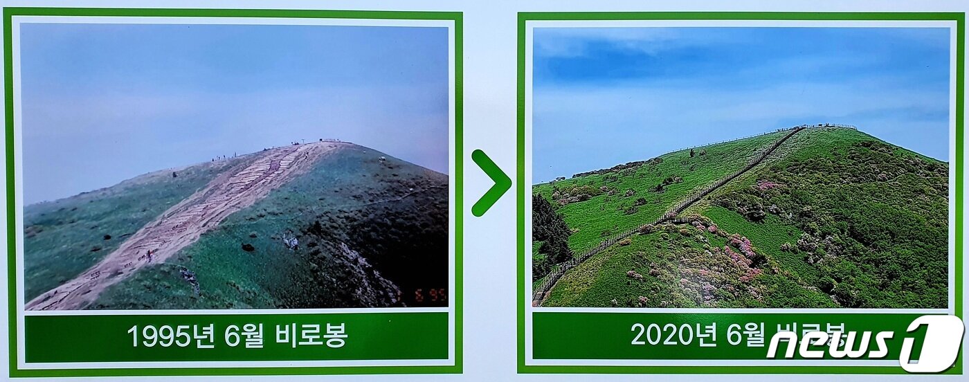 본문 이미지 - 비로봉의 ‘과거와 현재’ 해설판. 마구 다녀 훼손된 길을 한 곳으로 정비하고, 나머지 땅을 본래 모습으로 복원했다. ⓒ 뉴스1