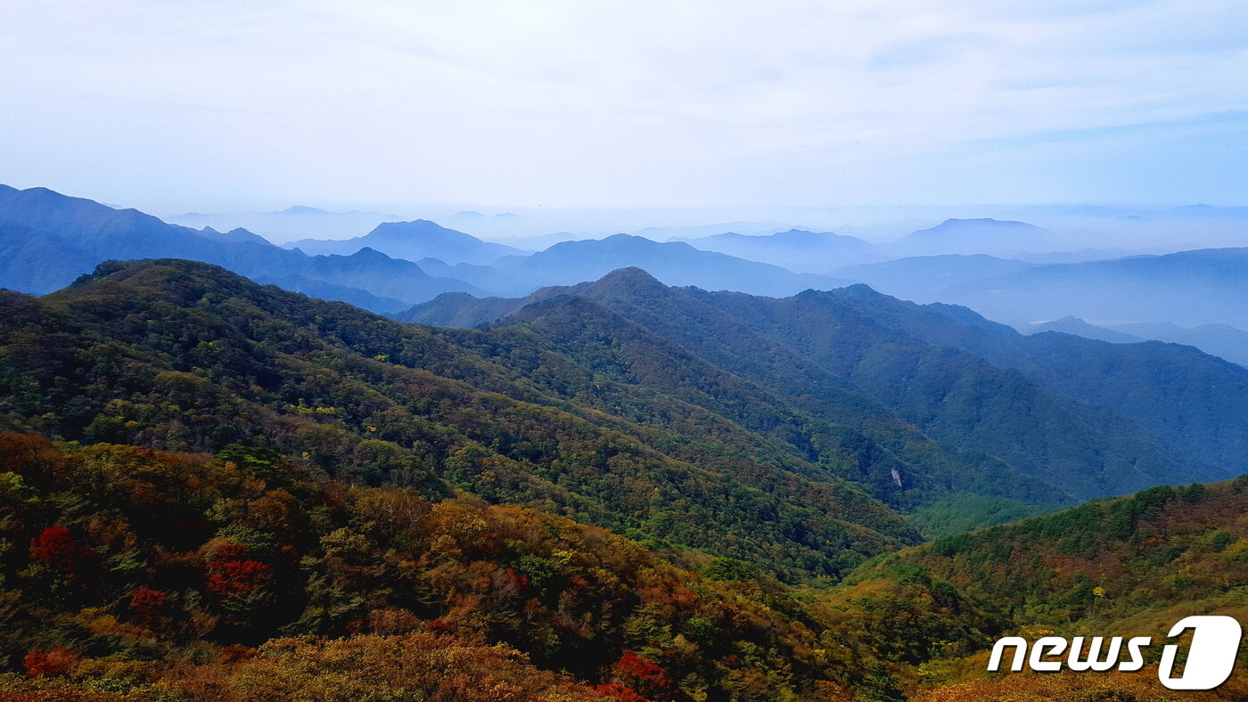 본문 이미지 - 형제봉에서 바라본 소백산 자락. 그 너머의 산너울 ⓒ 뉴스1