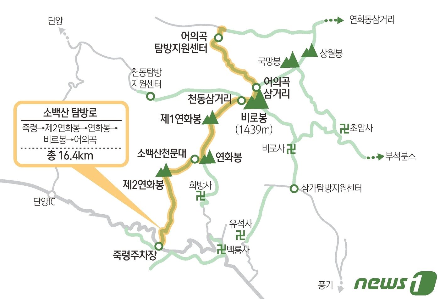 본문 이미지 - ⓒ News1 김초희 디자이너
