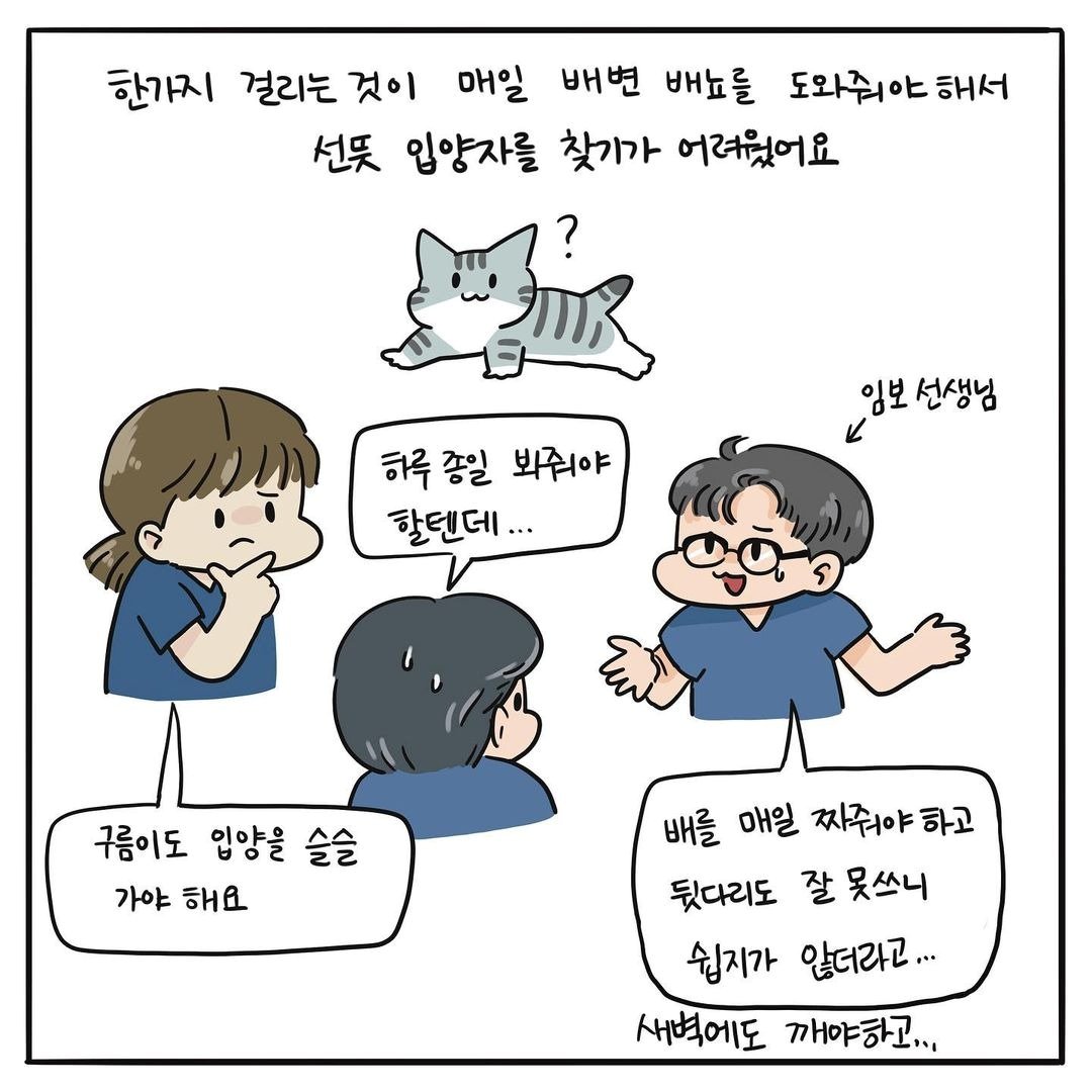 고양이그림공부 ⓒ 뉴스1