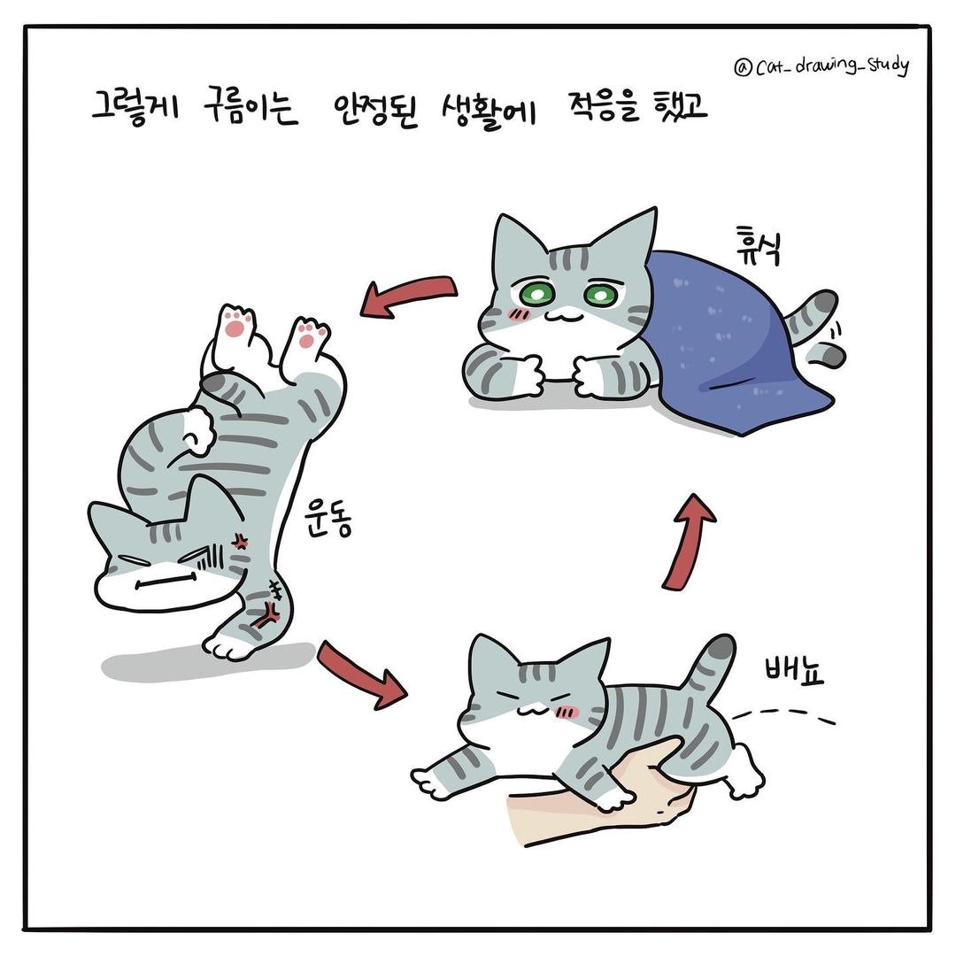 본문 이미지 - 고양이그림공부 ⓒ 뉴스1