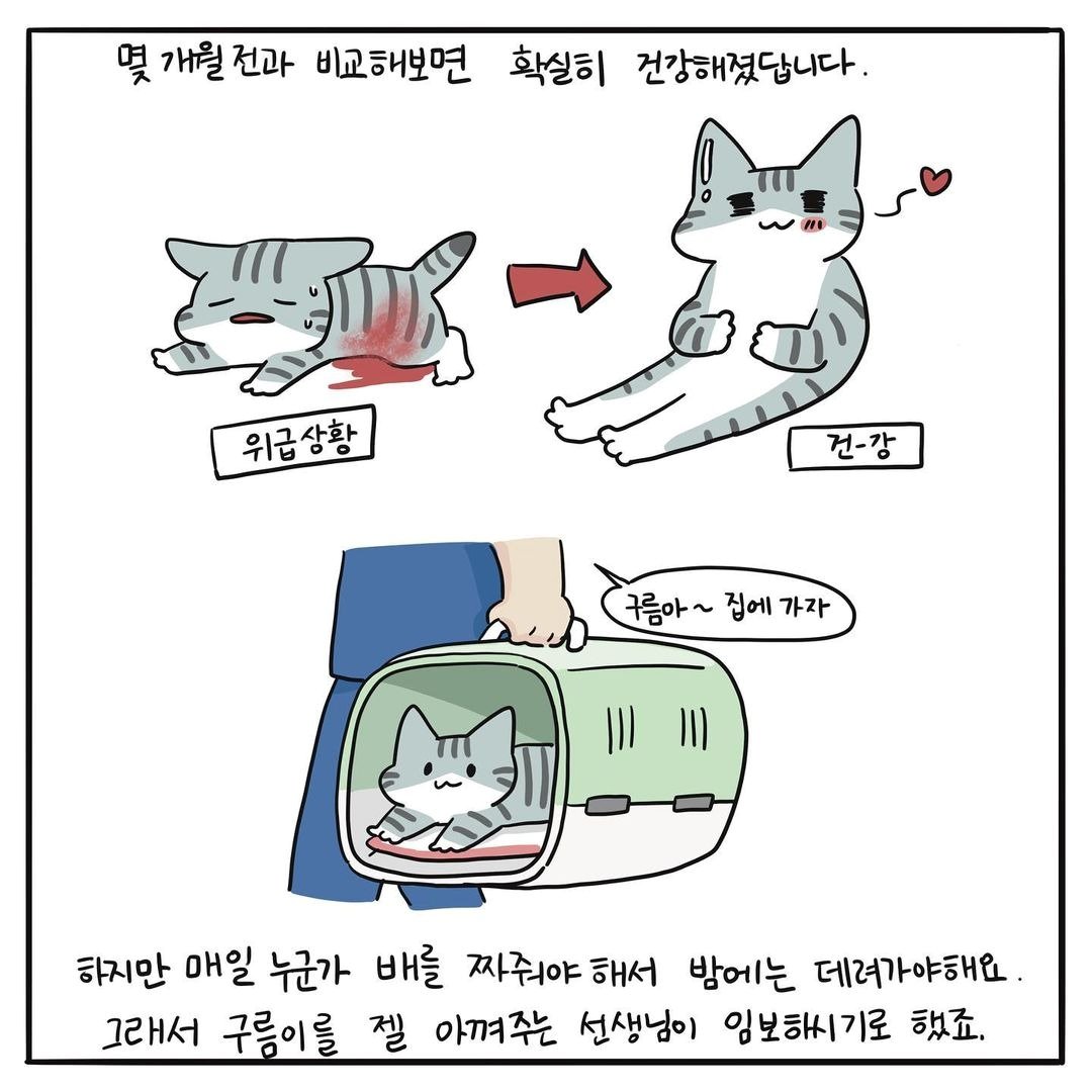 본문 이미지 - 고양이그림공부 ⓒ 뉴스1