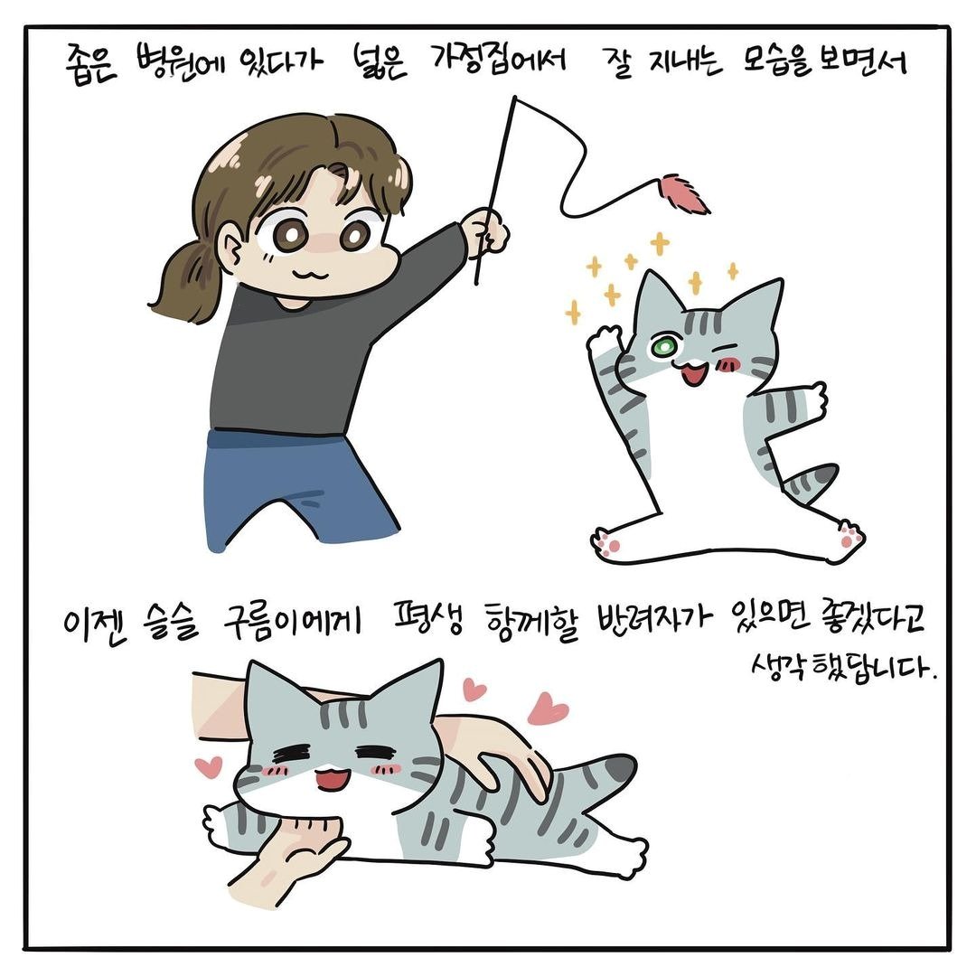 본문 이미지 - 고양이그림공부 ⓒ 뉴스1