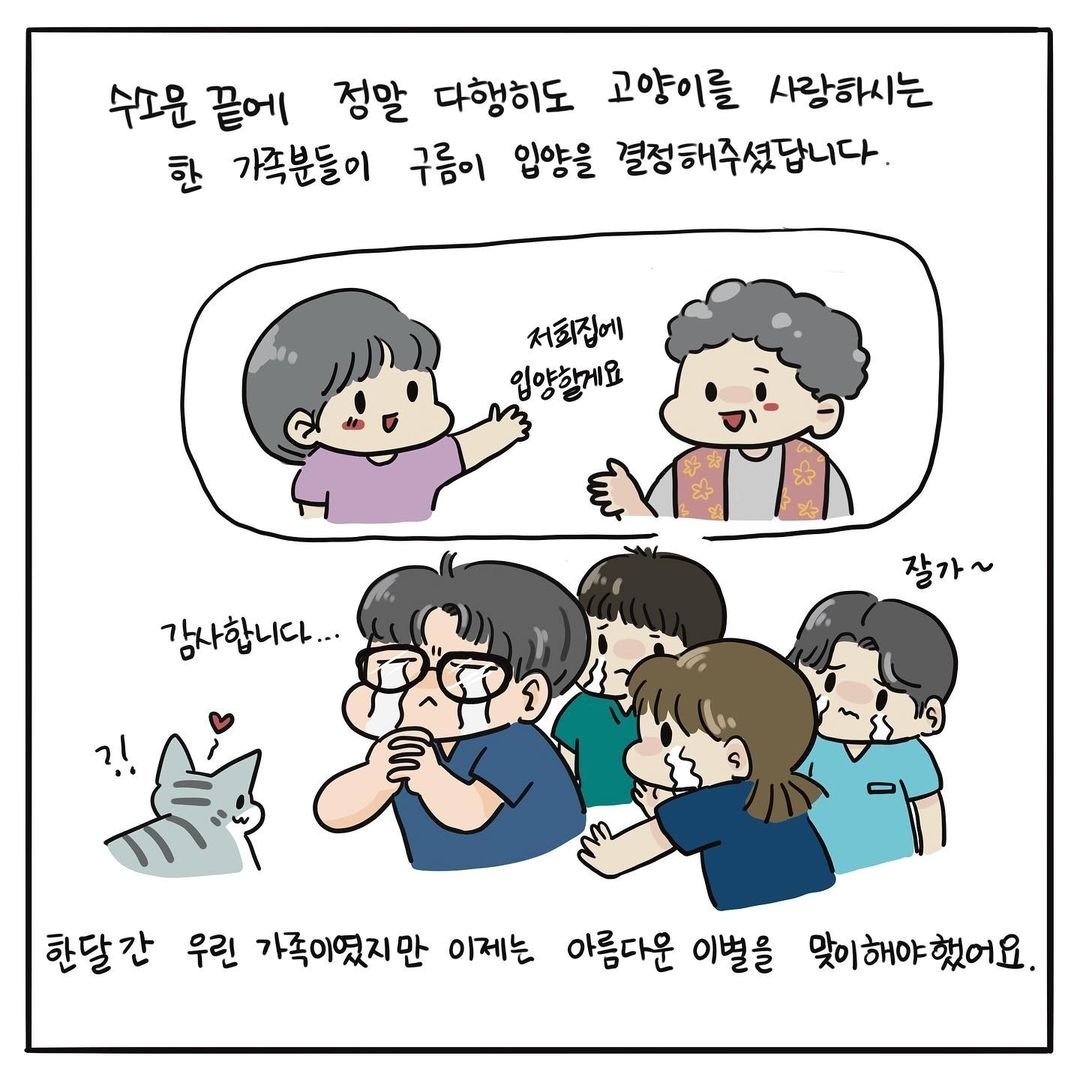 고양이그림공부 ⓒ 뉴스1