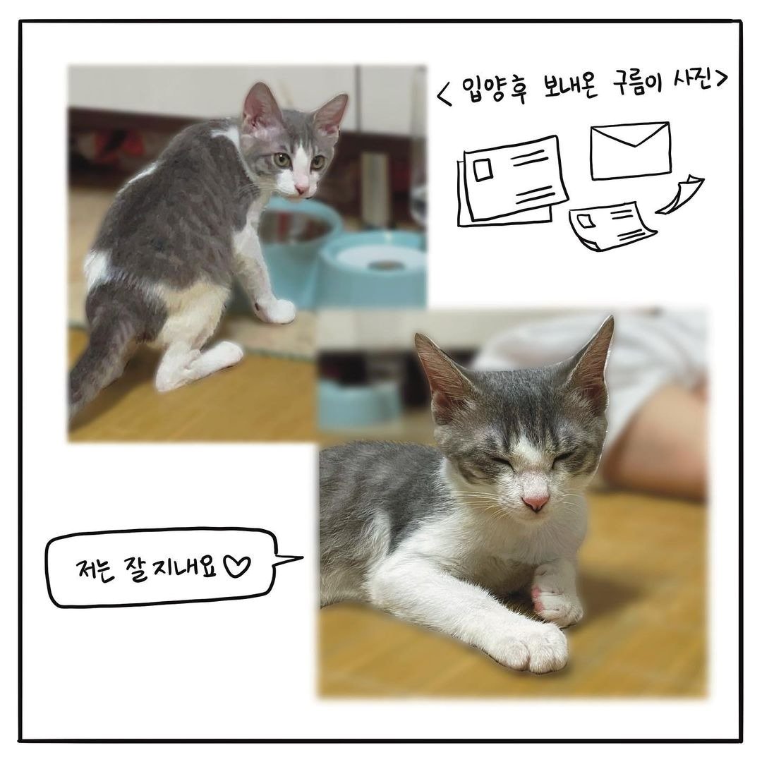 본문 이미지 - 고양이그림공부 ⓒ 뉴스1