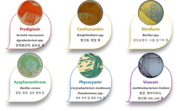 본문 이미지 - ⓒ 뉴스1