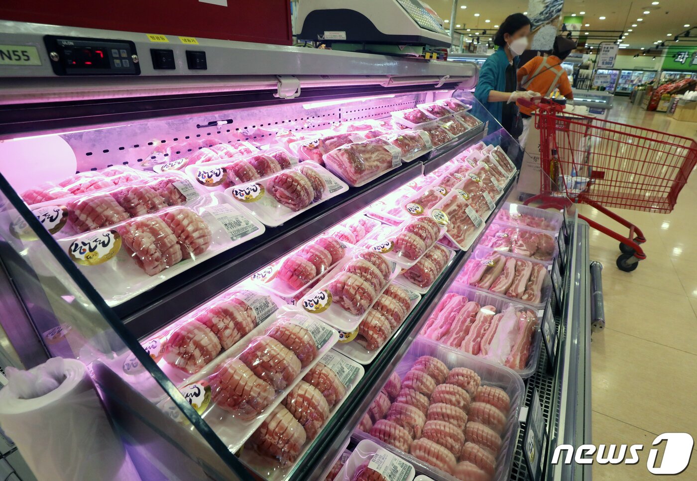 본문 이미지 - 원자재 가격 상승 여파가 이어지는 가운데, 국내 생산자물가가 4개월 연속 올랐다. 한국은행에 따르면 4월 생산자물가지수는 3월(116.70)보다 1.1% 상승한 118.02(2015년 수준 100)로 나타났다. 올해 1월 이후 4개월 연속 상승하고 있는 것이다. 세부 품목 중에 생산자물가지수 상승 폭이 큰 품목은 돼지고기(28.2%), 멸치(22.0%), 식용정제유(11.8%), 경유(7.2%), 국제항공여객(10.3%) 등인 것으로 나타났다. 사진은 지난달 20일 서울 한 대형마트의 돼지고기 매장 모습. 2022.5.20/뉴스1 ⓒ News1 송원영 기자