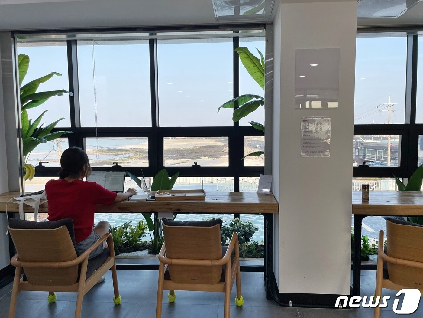 본문 이미지 - 제주 구좌읍 세화리 '질그랭이 센터'에 위치한 공유 오피스의 모습. 스타트업 '스트리밍하우스'에서 워케이션 서비스 '더휴일'을 운영 중이다. 2022. 05. 19. 뉴스1 ⓒ News1 한지명 기자