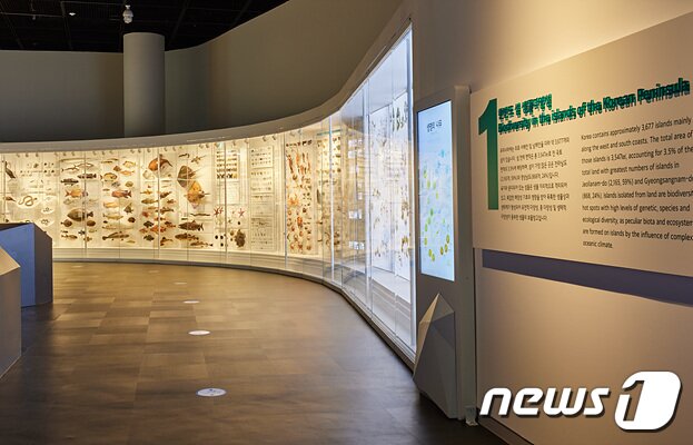 본문 이미지 - 국립호남권생물자원관 상설전시관ⓒ 뉴스1