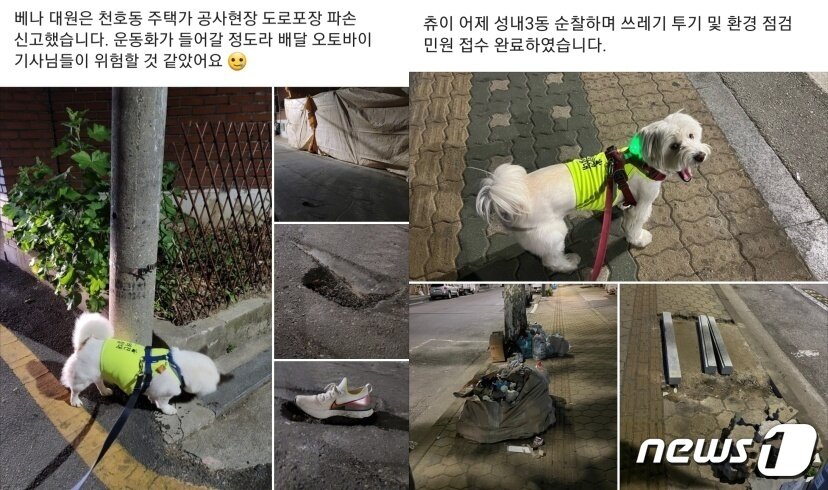 본문 이미지 - 서울시 반려견 순찰대 커뮤니티(유기견없는도시 제공) ⓒ 뉴스1
