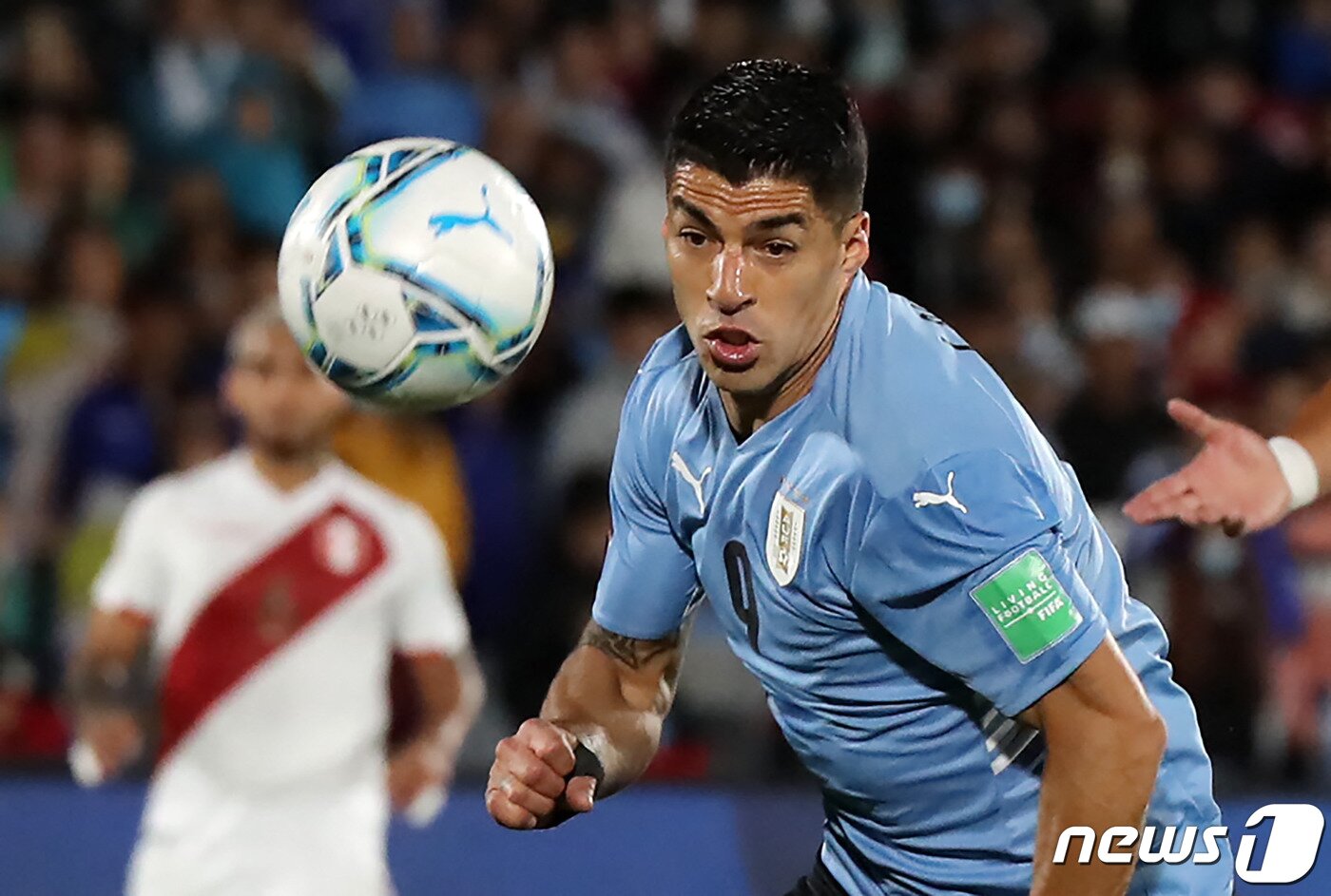 본문 이미지 - 우루과이 축구대표팀 골잡이 루이스 수아레스. ⓒ AFP=뉴스1