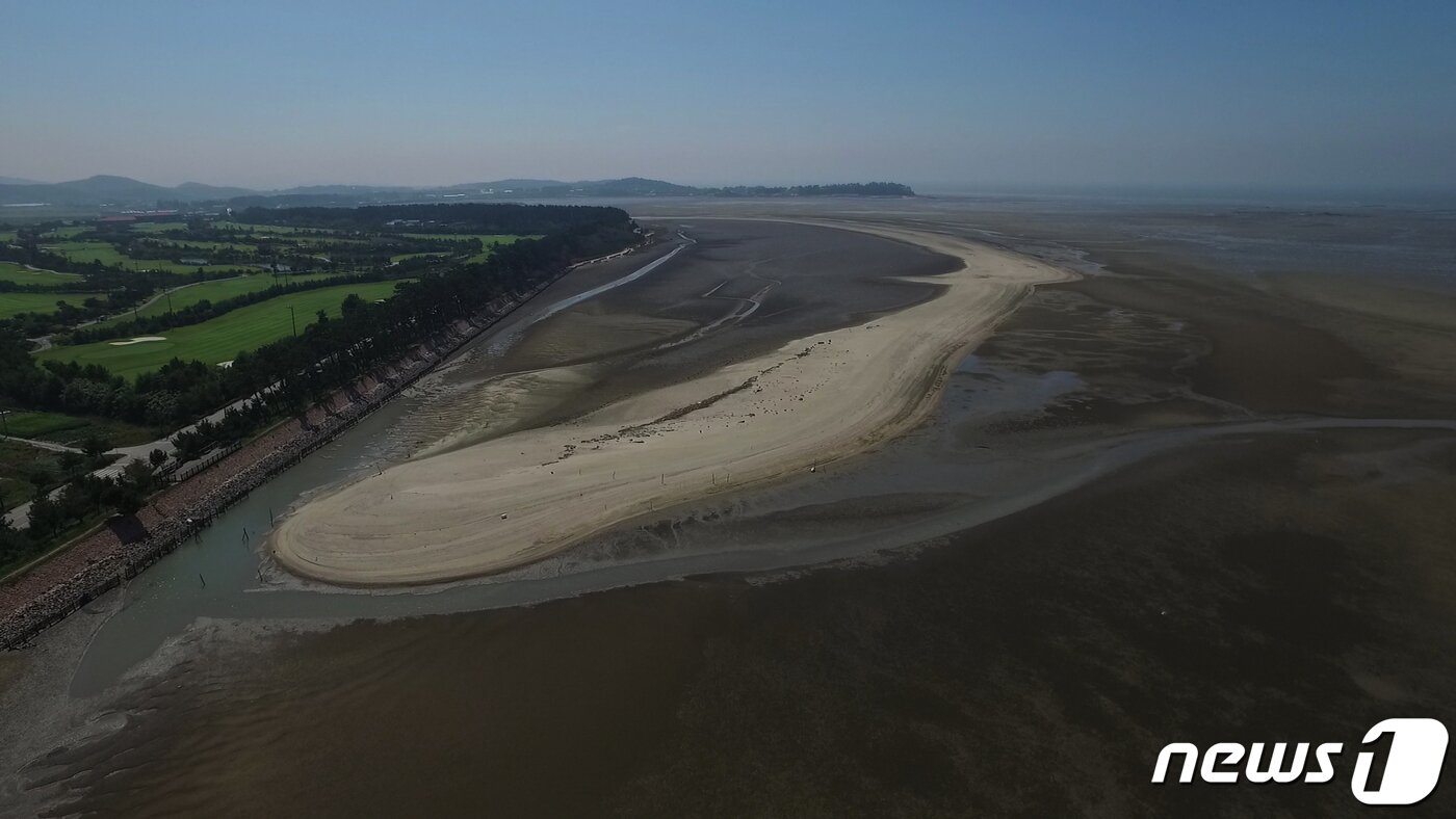 본문 이미지 - 고창갯벌(해양수산부 제공)ⓒ 뉴스1
