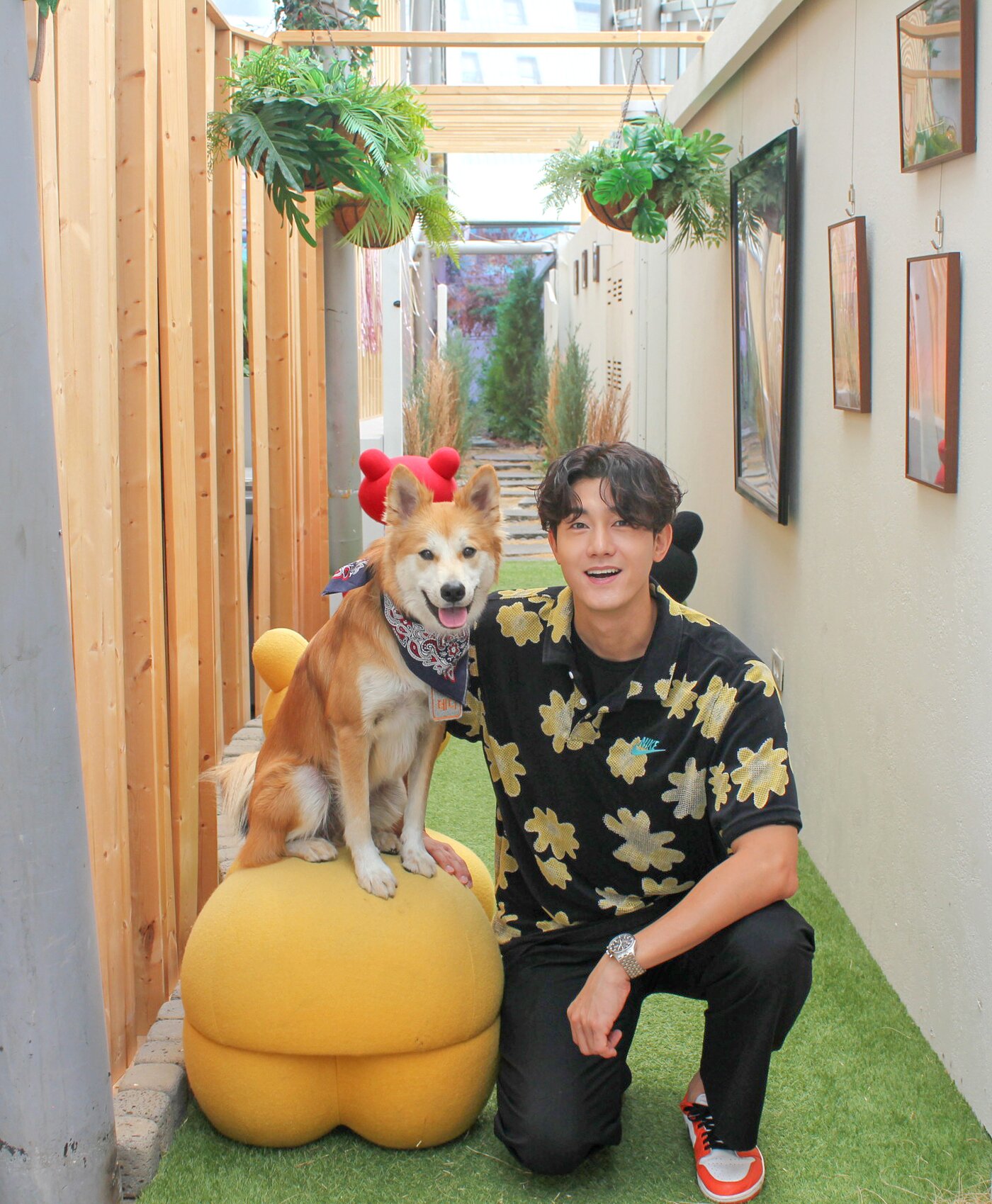 본문 이미지 - 네버다이엔터테인먼트 ⓒ 뉴스1