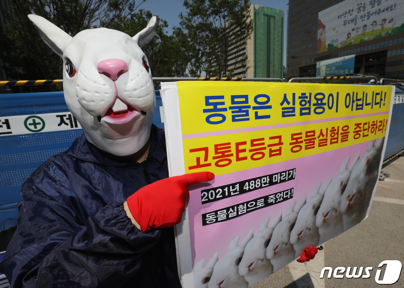 (서울=뉴스1) 송원영 기자 = 3일 오후 서울 광화문 네거리에서 한국동물보호연합 회원들이 '488만 동물들의 비명과 죽음, 동물실험 천국'을 규탄하는 기자회견을 열고 퍼포먼스를 …