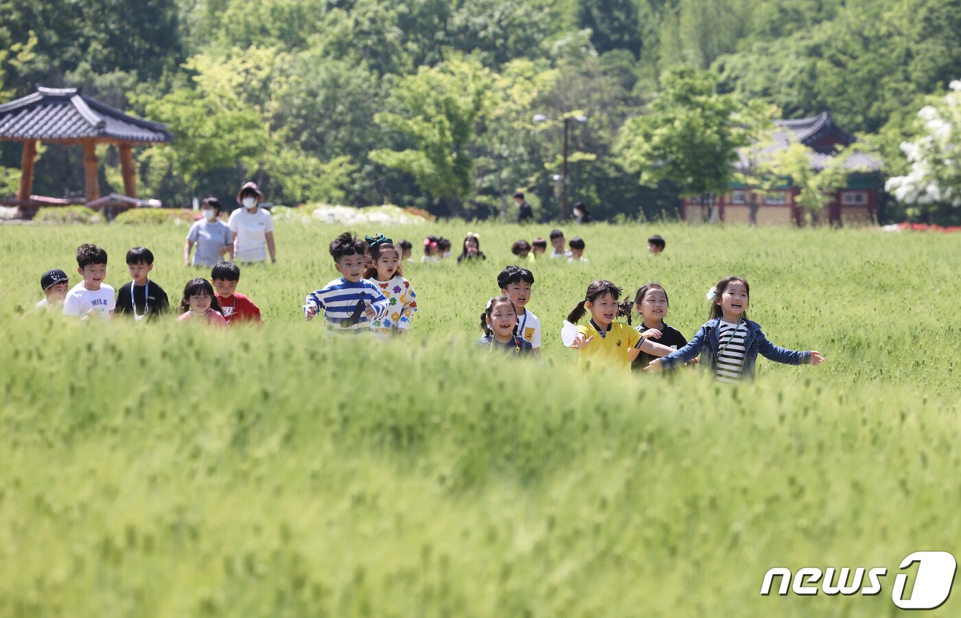 본문 이미지 - 어린이날을 이틀 앞둔 3일 경남 함양군 상림공원 청보리밭을 찾은 연꽃어린이집 원생들이 청보리밭을 걸으며 즐거운 시간을 보내고 있다. (함양군 김용만 제공) 2022.5.3/뉴스1