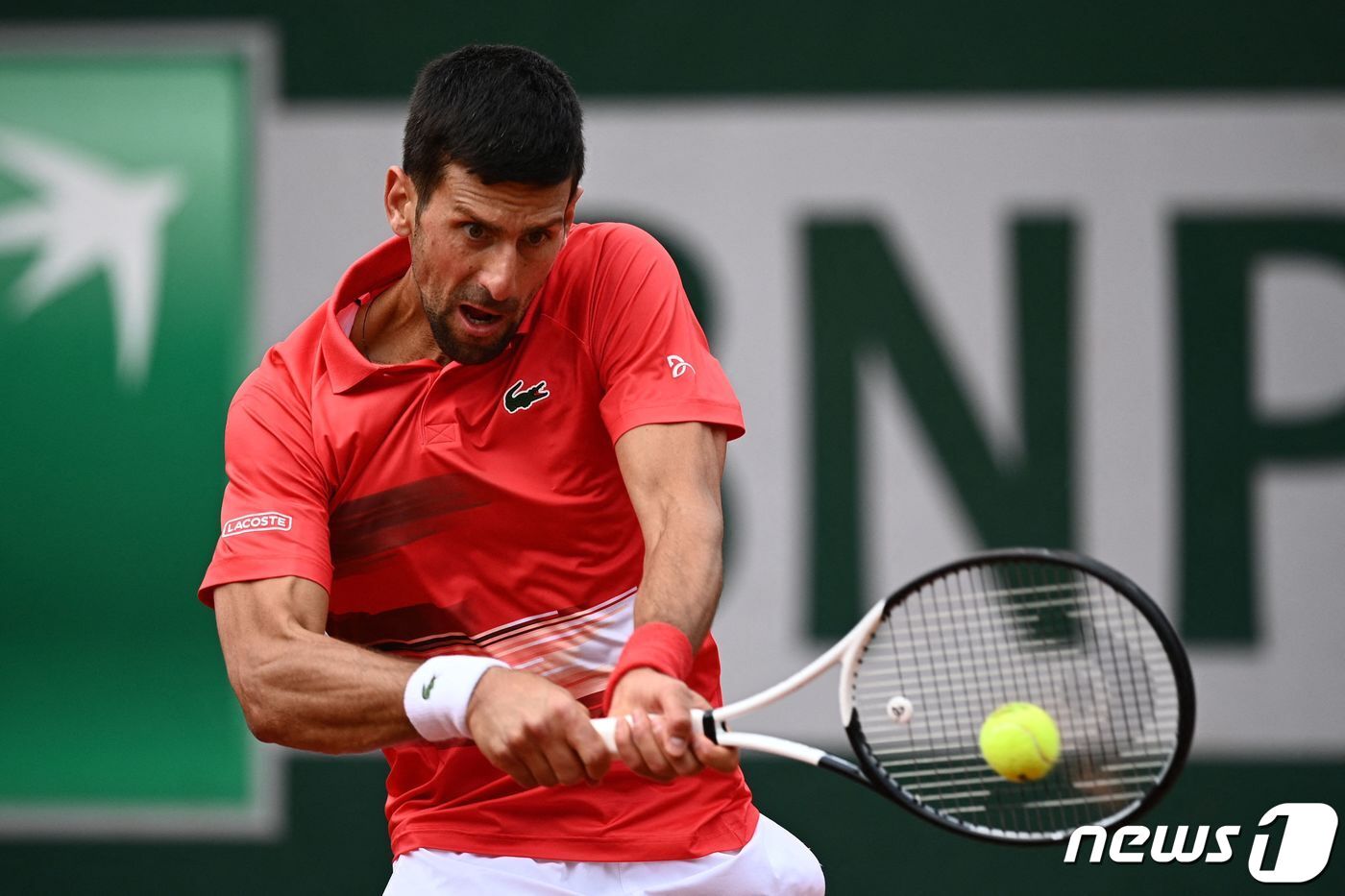 본문 이미지 - 노박 조코비치. ⓒ AFP=뉴스1