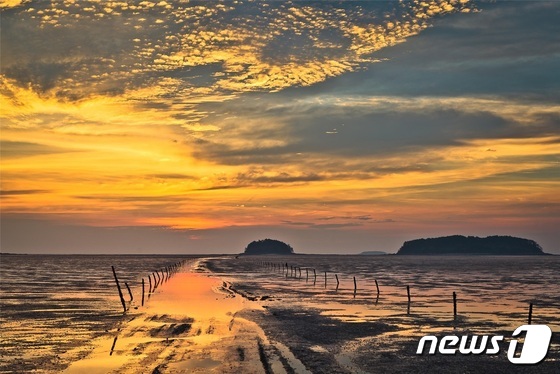 해양생태계의 보고(寶庫) 전북 고창 갯벌(고창군 제공)© 뉴스1
