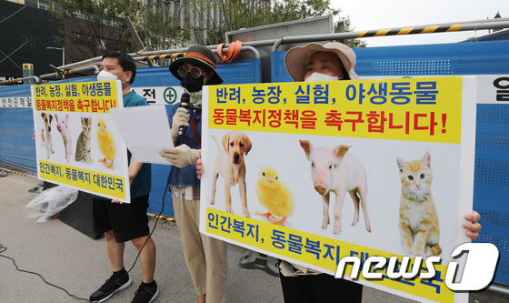 동물복지정책 촉구하는 한국동물보호연합