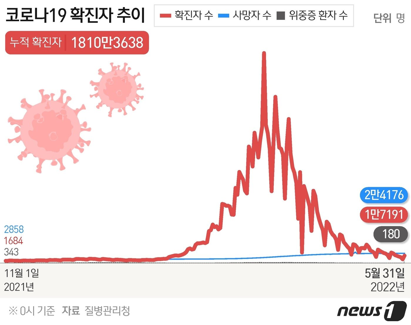 본문 이미지 - ⓒ News1 최수아 디자이너