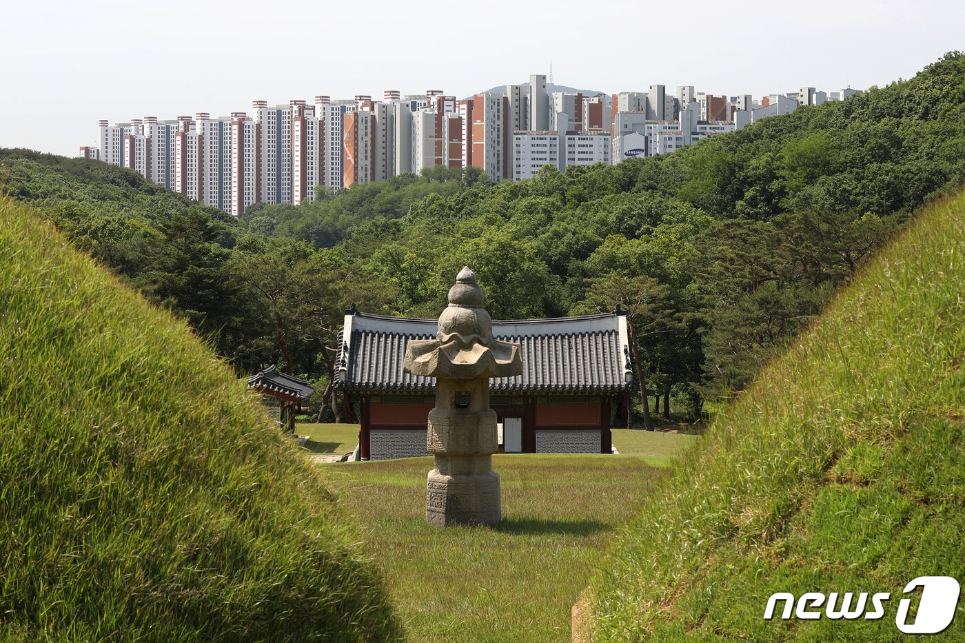 본문 이미지 - 사진은 31일 경기 김포 장릉에서 바라본 '왕릉뷰 아파트' 모습. 2022.5.31/뉴스1 ⓒ News1 민경석 기자