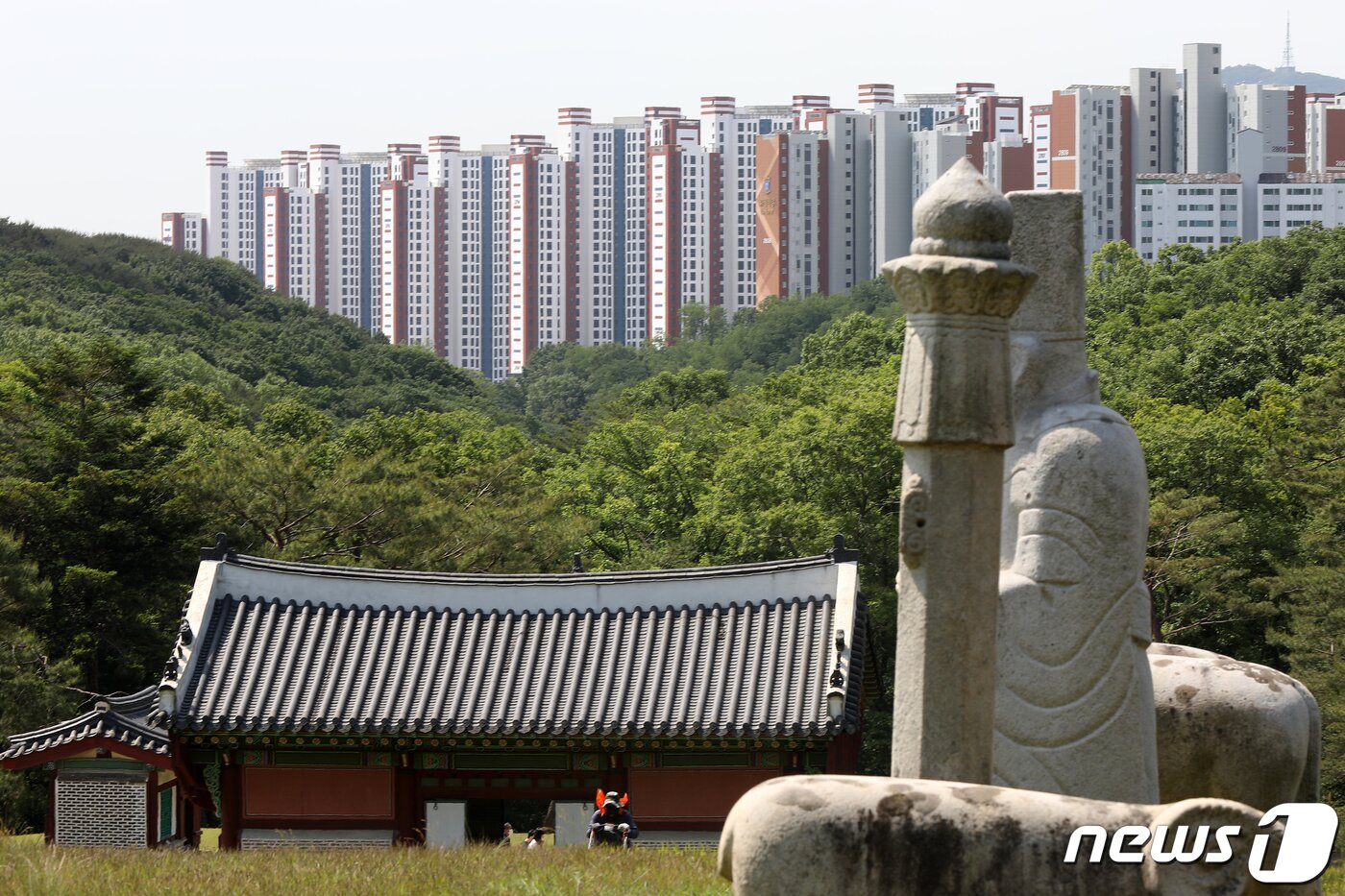 본문 이미지 - 사진은 31일 경기 김포 장릉에서 바라본 '왕릉뷰 아파트' 모습. 2022.5.31/뉴스1 ⓒ News1 민경석 기자