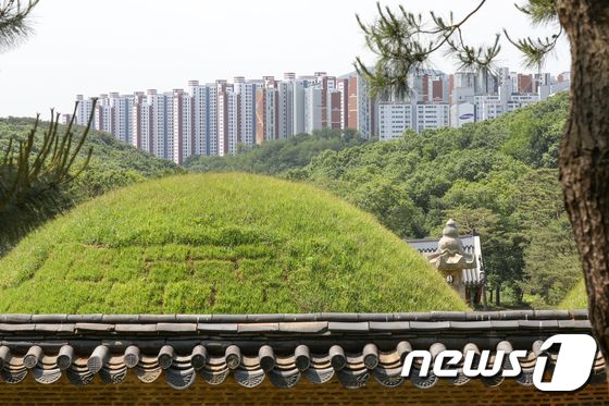 뉴스1 Pick]'왕릉뷰 아파트' 입주 시작…