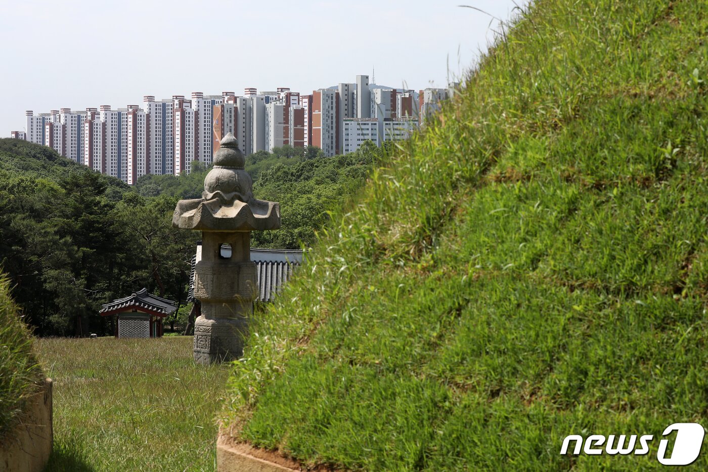 본문 이미지 - 사진은 31일 경기 김포 장릉에서 바라본 '왕릉뷰 아파트' 모습. 2022.5.31/뉴스1 ⓒ News1 민경석 기자