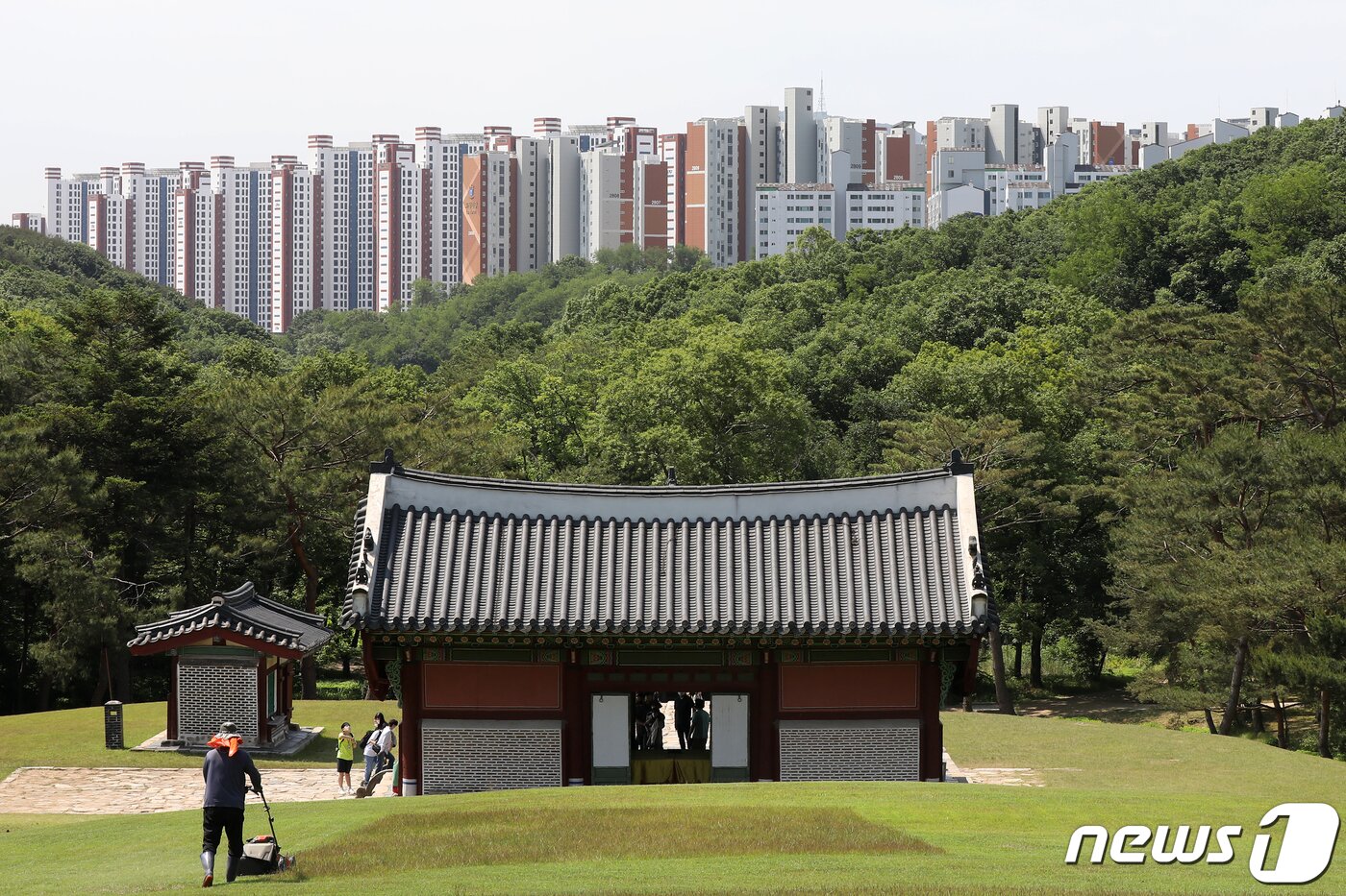 본문 이미지 - 사진은 31일 경기 김포 장릉에서 바라본 '왕릉뷰 아파트' 모습. 2022.5.31/뉴스1 ⓒ News1 민경석 기자