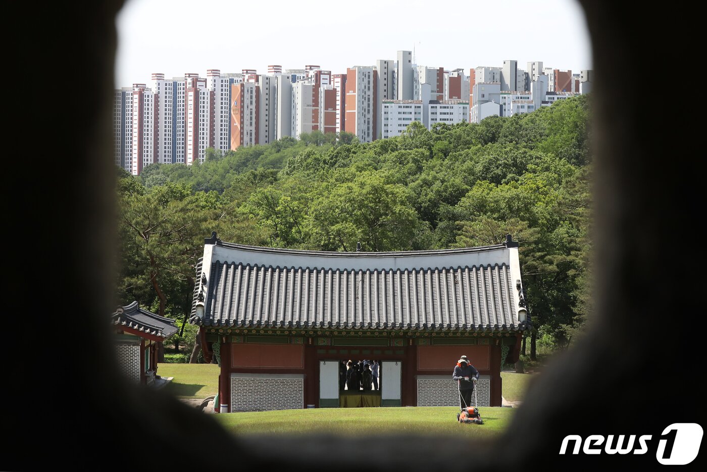 본문 이미지 - 사진은 31일 경기 김포 장릉에서 바라본 '왕릉뷰 아파트' 모습. 2022.5.31/뉴스1 ⓒ News1 민경석 기자
