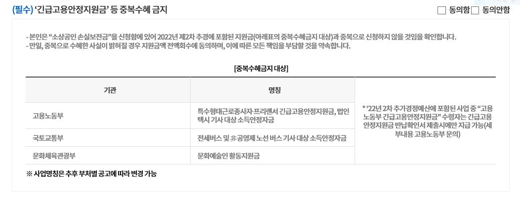 본문 이미지 - 소상공인 손실보전금·긴급고용안정지원금 중복수혜 금지 조항ⓒ 뉴스1