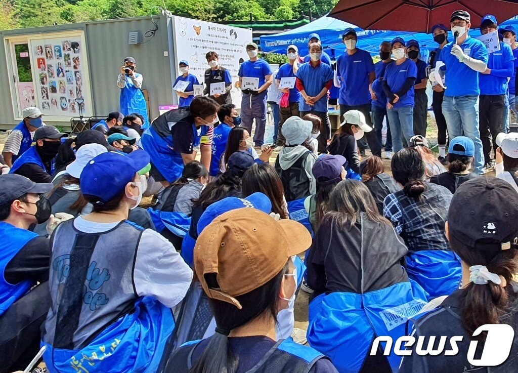 본문 이미지 - 내추럴발란스 블루엔젤봉사단은 29일 경기 용인의 한 보호소에서 봉사활동을 진행했다. ⓒ 뉴스1 최서윤 기자
