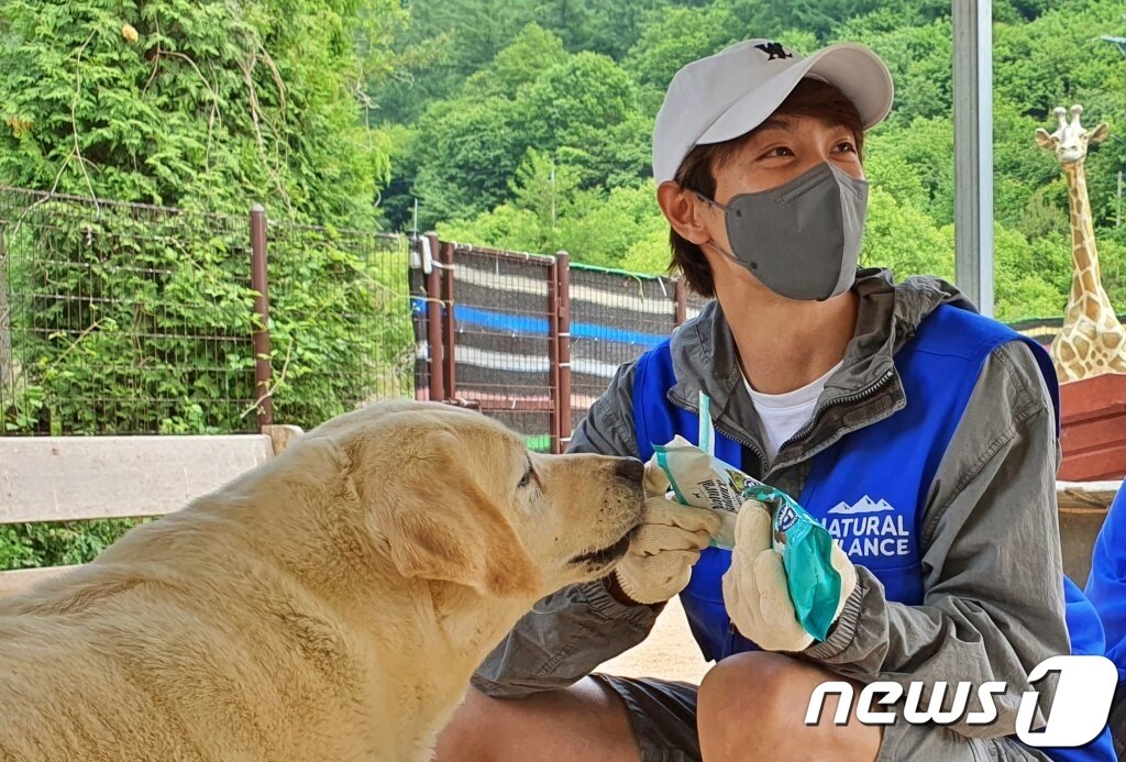 본문 이미지 - 내추럴발란스 블루엔젤봉사단은 29일 경기 용인의 한 보호소에서 봉사활동을 진행했다. ⓒ 뉴스1 최서윤 기자