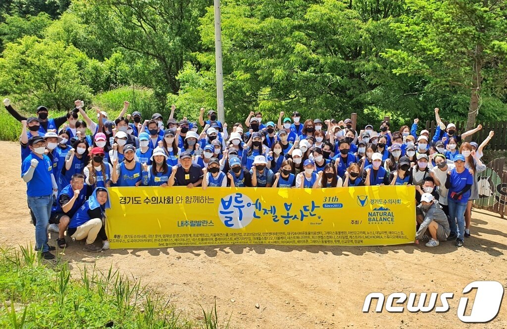 본문 이미지 - 내추럴발란스 블루엔젤봉사단은 29일 경기 용인의 한 보호소에서 봉사활동을 진행했다. ⓒ 뉴스1 최서윤 기자