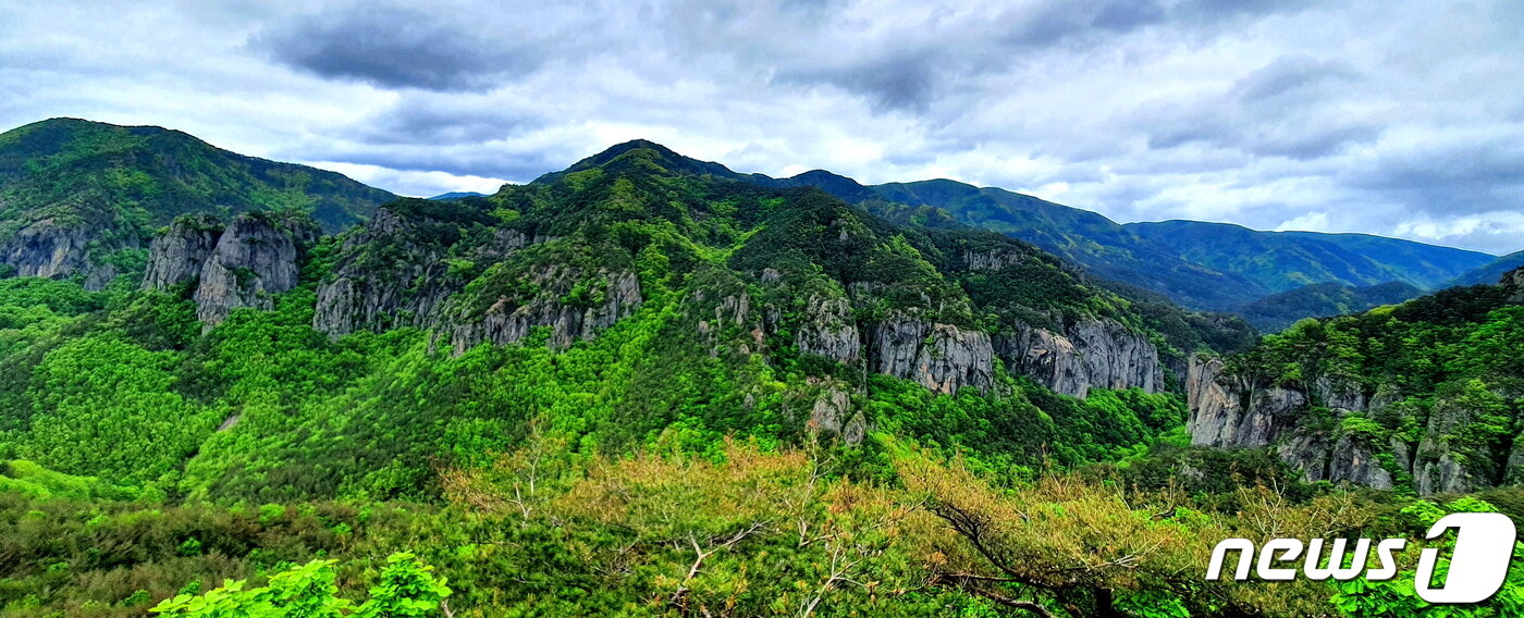 본문 이미지 - 주왕산 파노라마. 주봉마루길의 두 번째 전망대에서 보는 바위병풍들 ⓒ 뉴스1