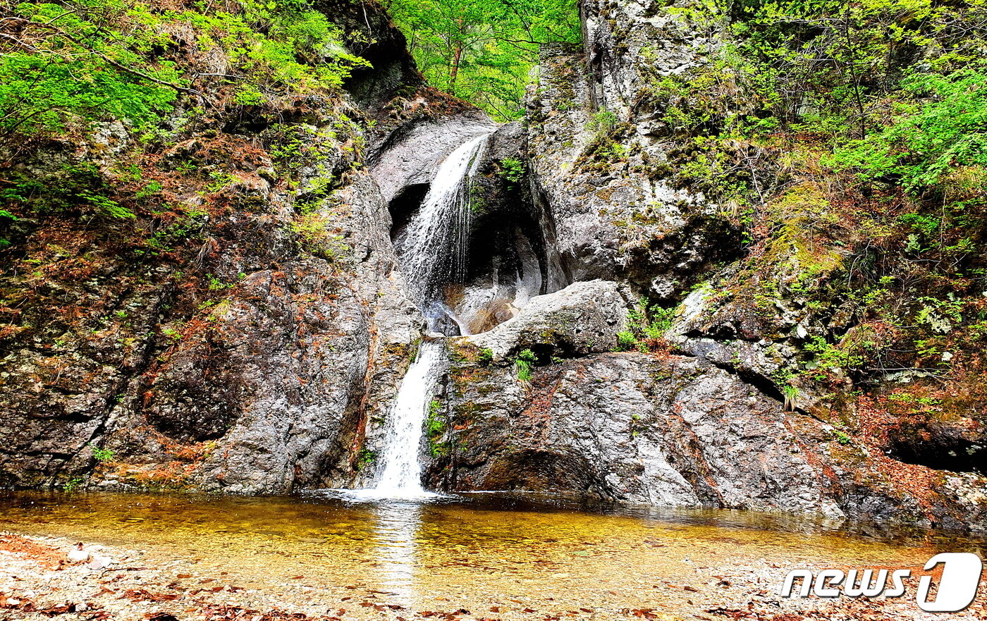 본문 이미지 - 절구폭포. 1단 폭포가 절구가 되어 절구통(돌개구멍)을 찧는 모습이다 ⓒ 뉴스1