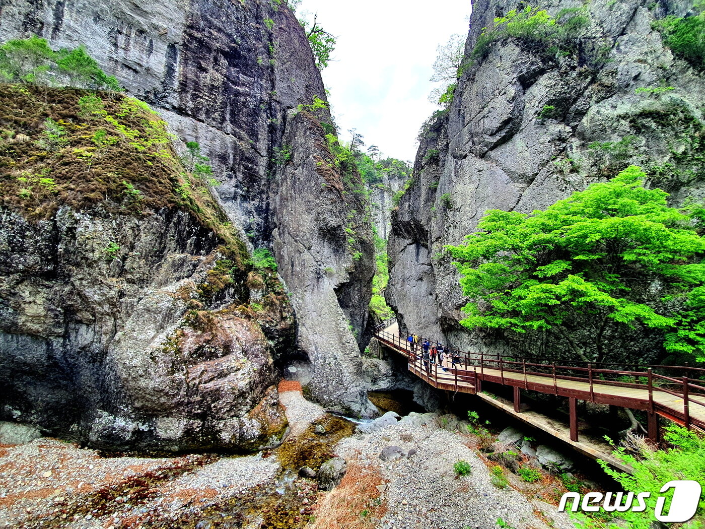 본문 이미지 - 용추협곡. 용이 몸통을 흔들며 지나간 듯, 거대한 바위가 쪼개져 다이내믹한 계곡경관을 만들었다 ⓒ 뉴스1