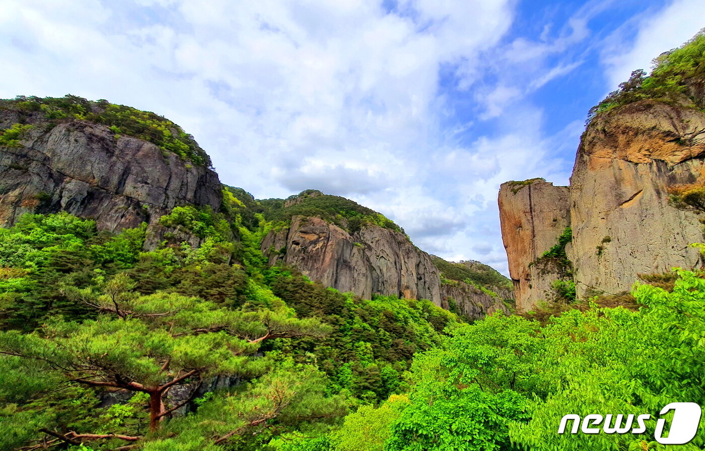 본문 이미지 - 망월대에서 본 바위제국. 왼쪽 연화봉과 병풍바위. 오른쪽 급수대 ⓒ 뉴스1