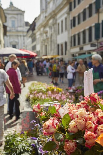 본문 이미지 - 솔로투른 장터. 스위스관광청 제공