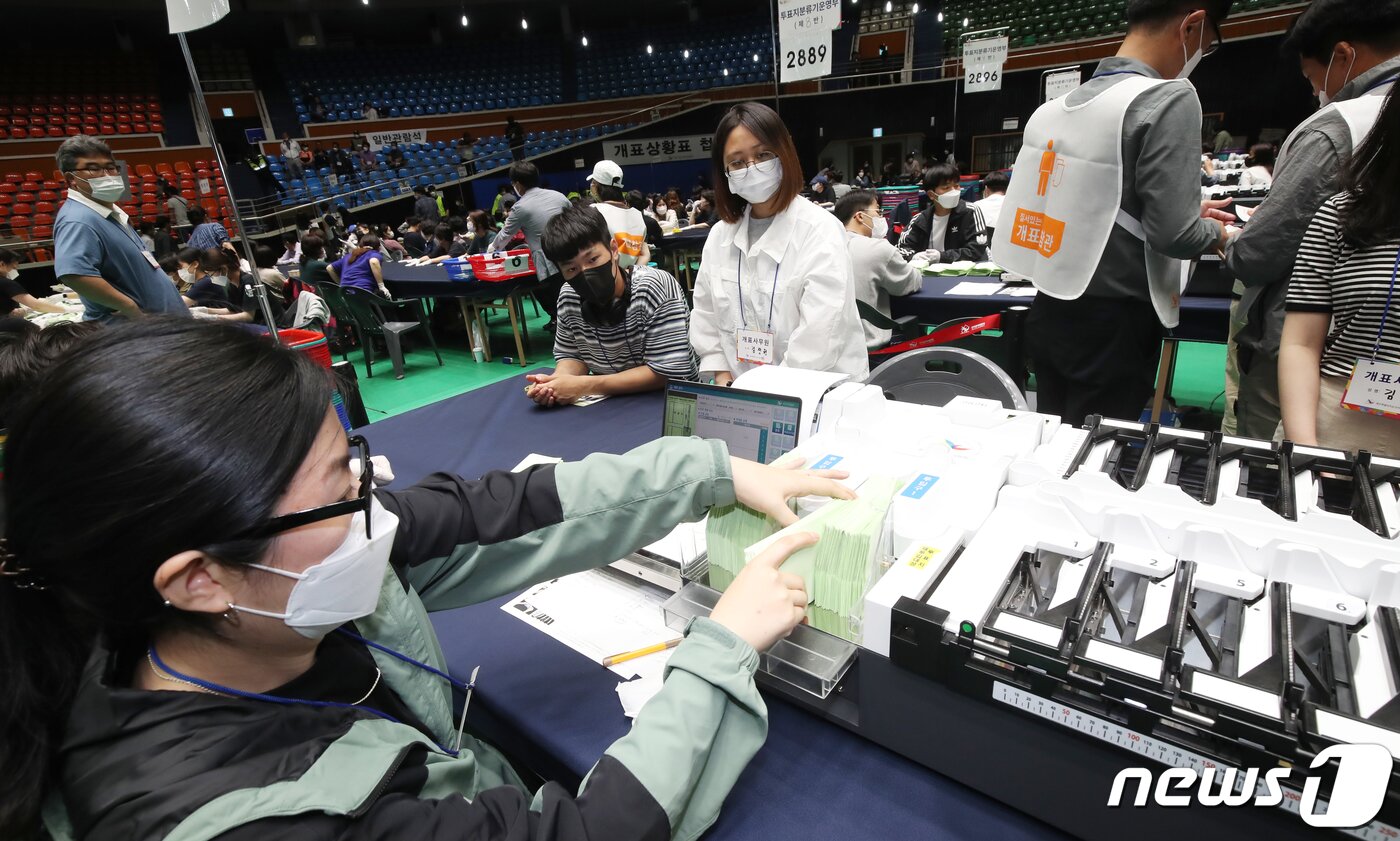 본문 이미지 - 제8회 전국동시지방선거 개표장면./뉴스1
