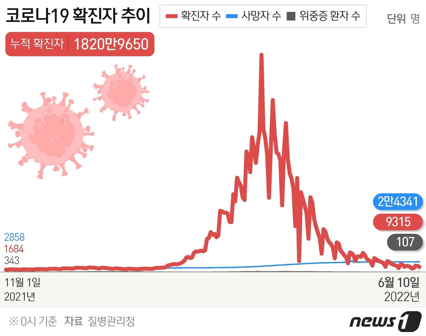 본문 이미지 - ⓒ News1 김초희 디자이너