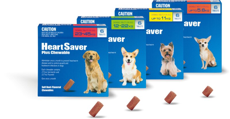 본문 이미지 - ⓒ 뉴스1