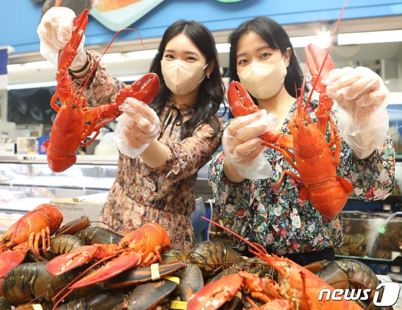 본문 이미지 - 랍스터. &#40;롯데쇼핑 제공&#41; 