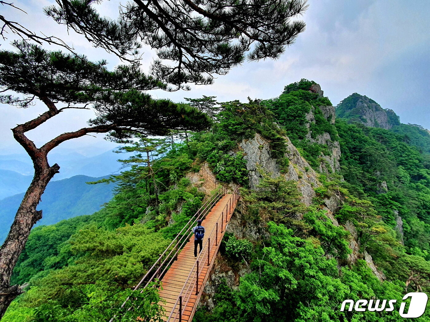 본문 이미지 - 봉우리와 봉우리를 잇는 아찔한 구름다리. 오른쪽 하봉, 중봉 ⓒ 뉴스1
