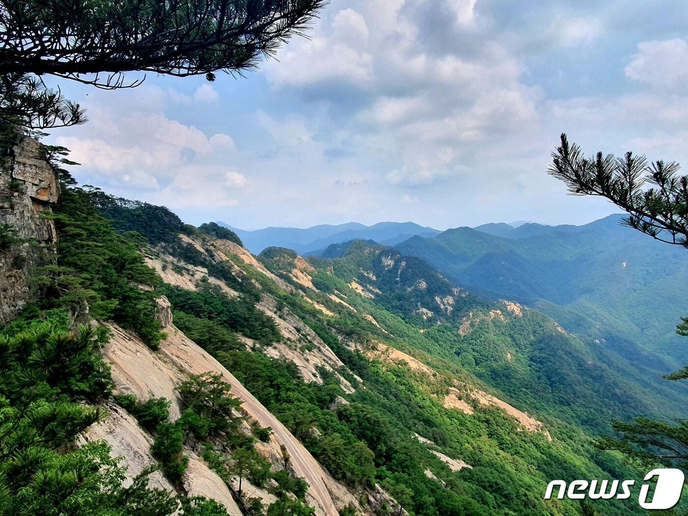 본문 이미지 - 만수봉으로 이어지는 화강암 능선. 출입금지구역이다. 멀리 소백산으로 이어지는 백두대간 능선이 보인다 ⓒ 뉴스1