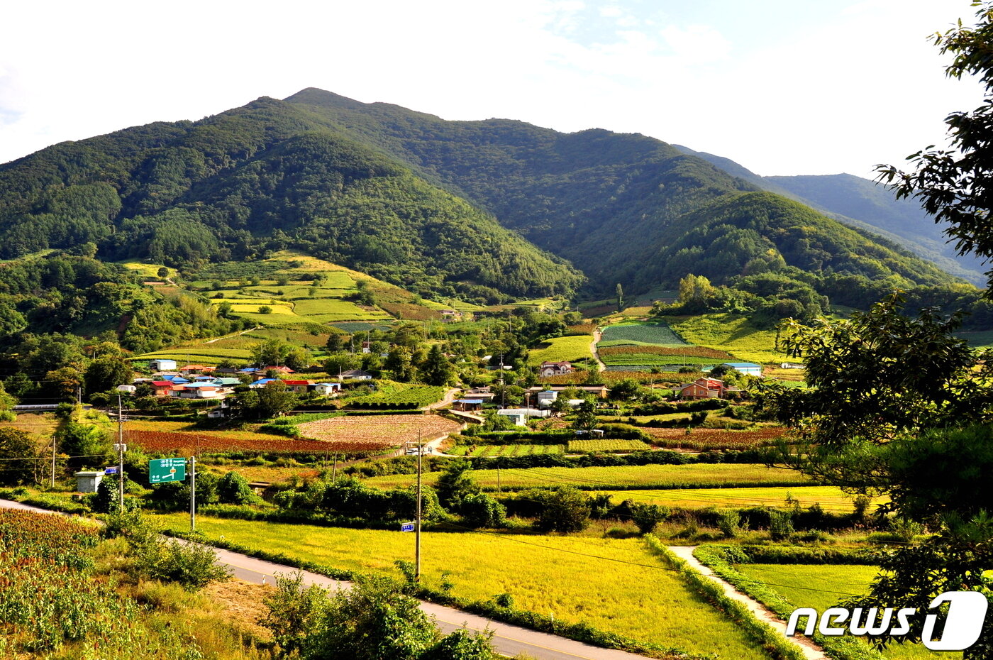 본문 이미지 - 월악산 농촌풍경. 누구에게나 고향같은, 그림같은 풍경이다 ⓒ 뉴스1