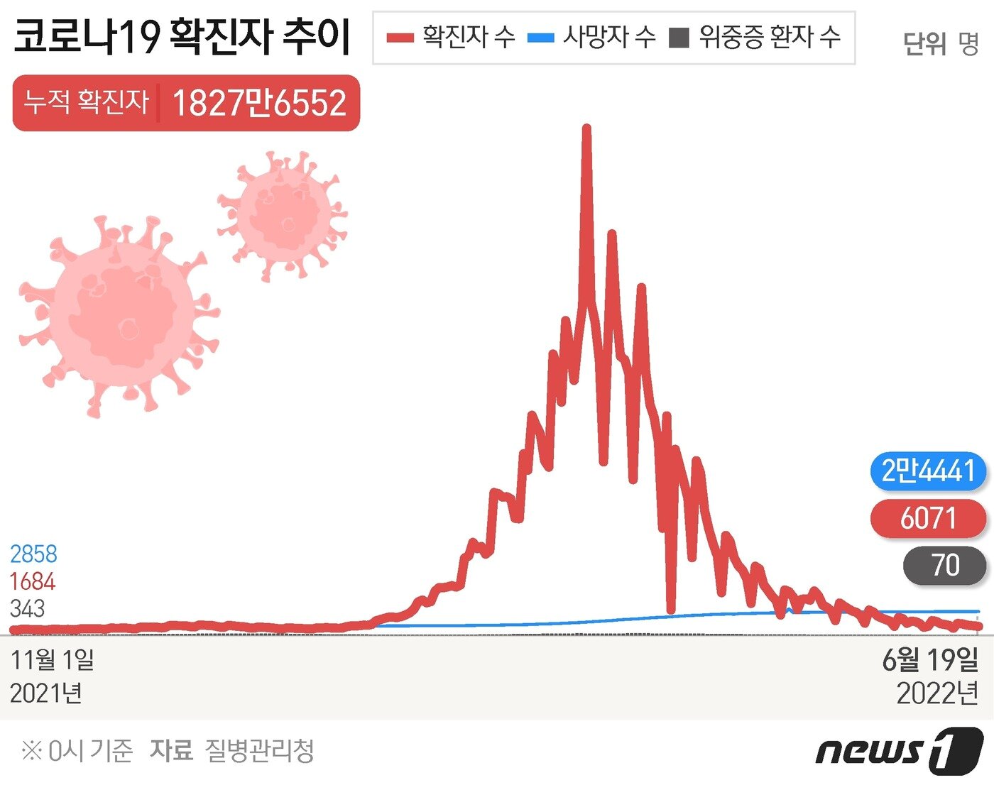 본문 이미지 - ⓒ News1 윤주희 디자이너
