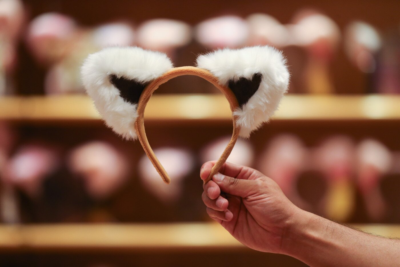 본문 이미지 - 레서판다 머리띠(에버랜드 제공)ⓒ 뉴스1