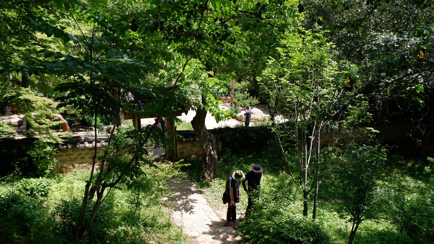 본문 이미지 - 녹음으로 둘러싸인 백운동 원림을 산책하는 여행객의 모습ⓒ 뉴스1 뉴스1